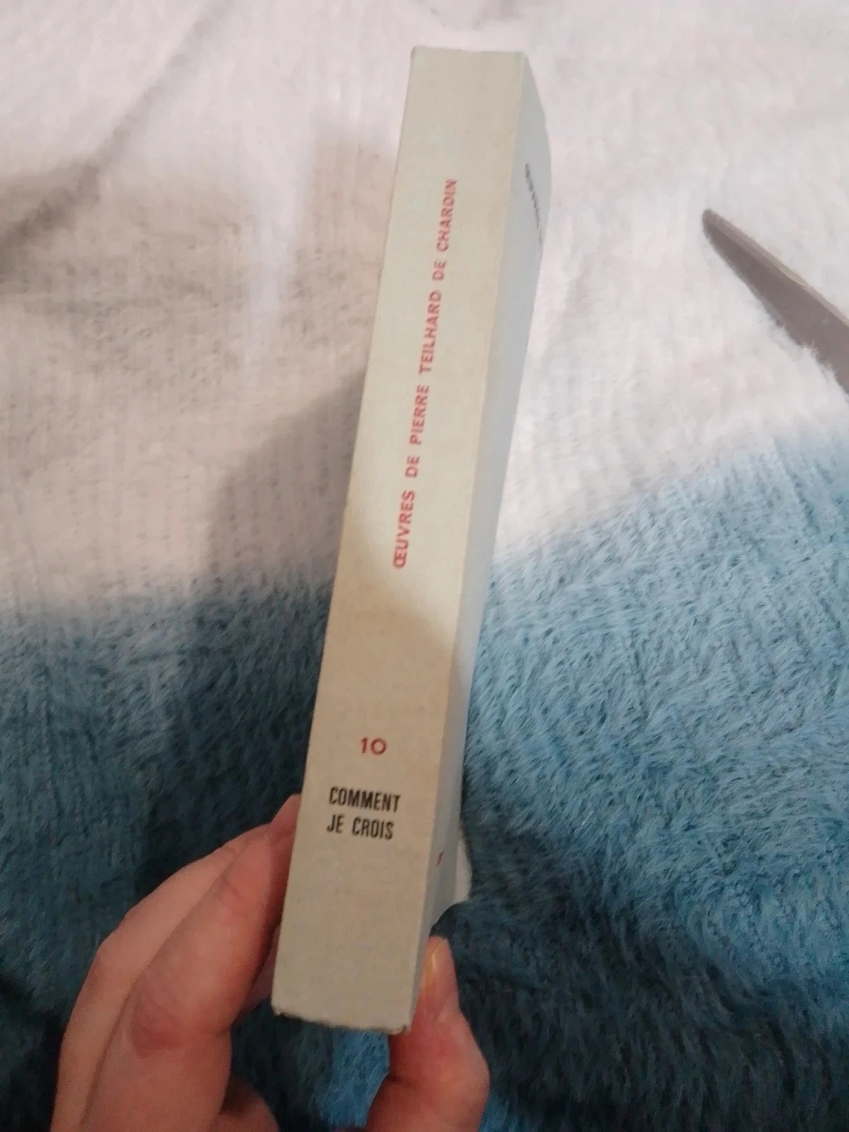 How I Believe by Pierre Teilhard de Chardin – photo 3